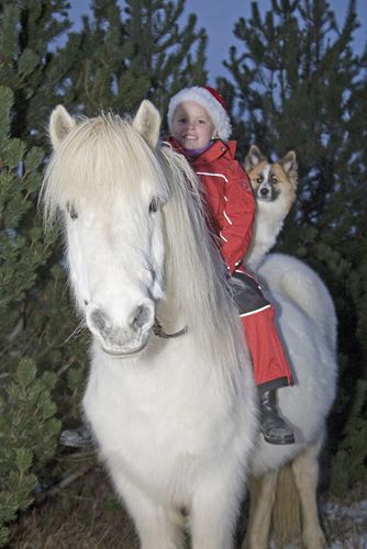 Kuldi, Maranna Sl og Ugla