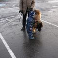 IMG 7202