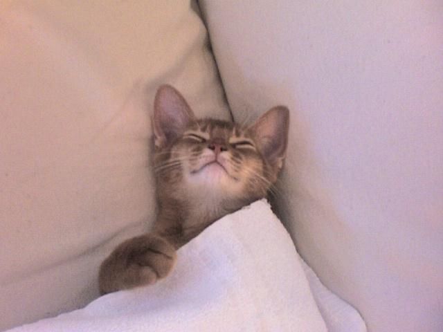 Sleeping again...