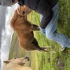 img 0414 1455185