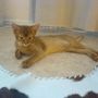 modelpoze....
