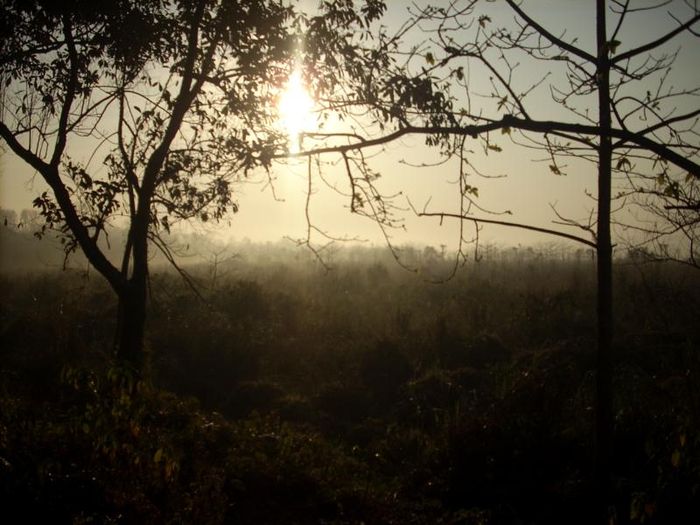 Kathmandu and Chitwan1 060