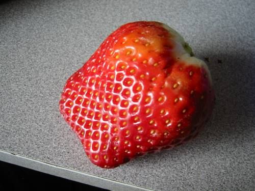 strawberry.jpg