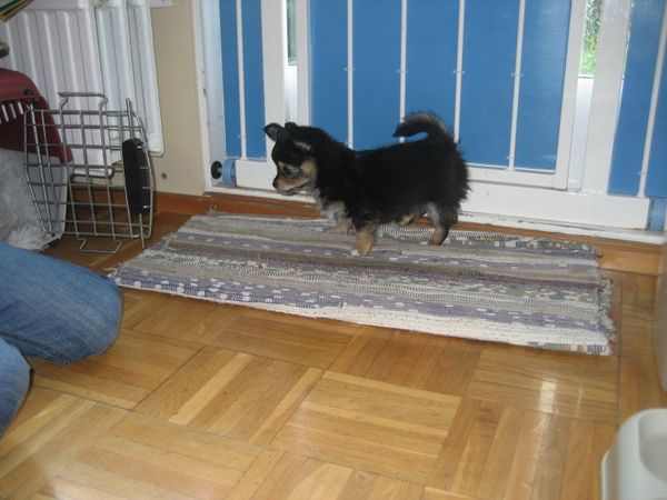 IMG 4317