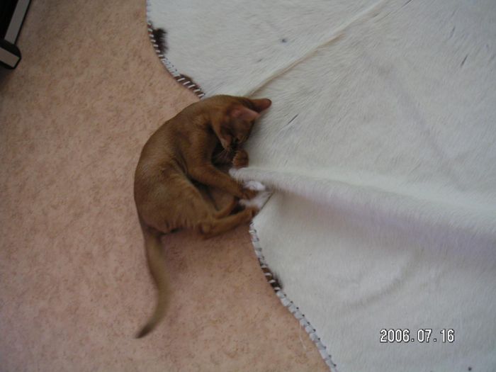 Love to play