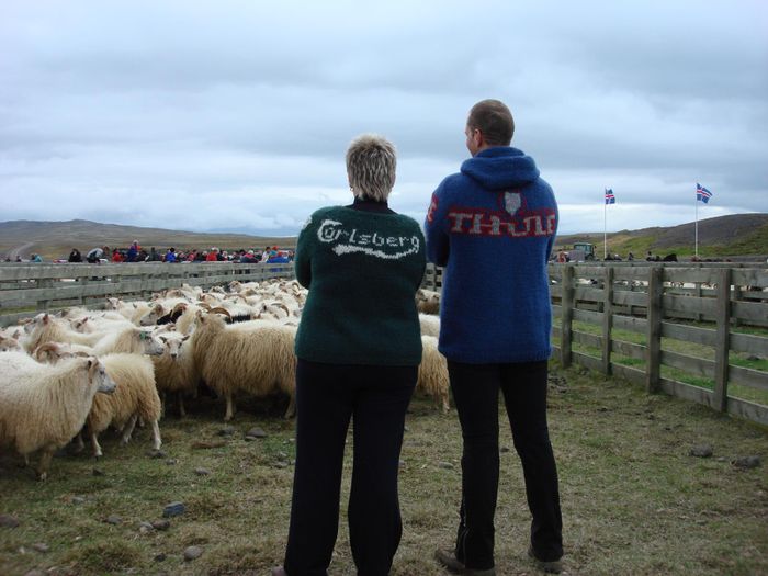 Carlsberg & Thule