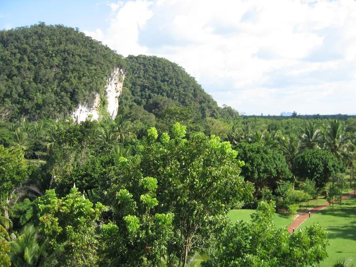 Tekid fra hotelinu i Krabi