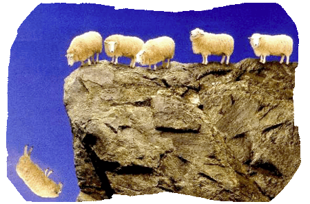 falling-sheep