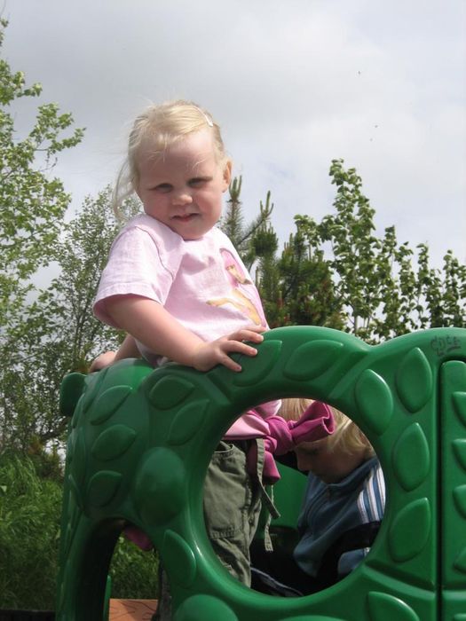 img 1517.jpg
