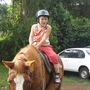 Fun - horse riding