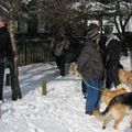 IMG 7512