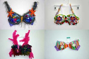 c_documents_and_settings_margret_my_documents_my_pictures_bras.jpg