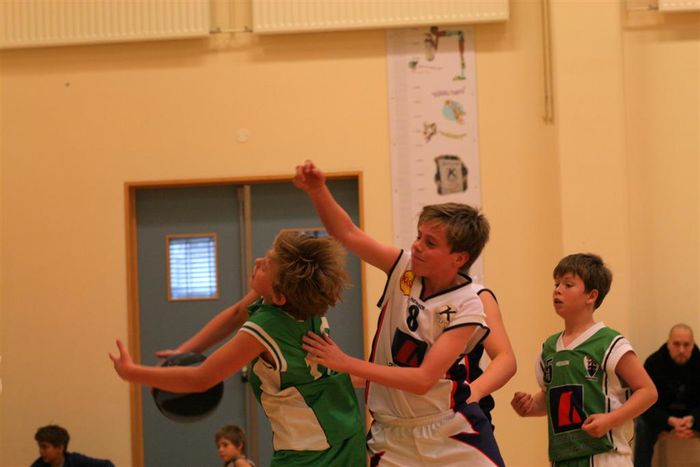 IMG 4846 (Large)