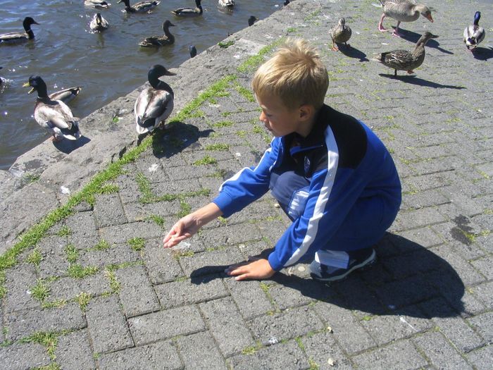Viljar fann rltinn braubita til a gefa vinum snum