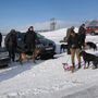 IMG 7483