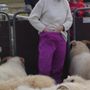 mamma þarftu að girða þig akkurat þegar eg er að taka mynd af þér :p
