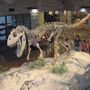 576px-museum al dinosaur.jpg