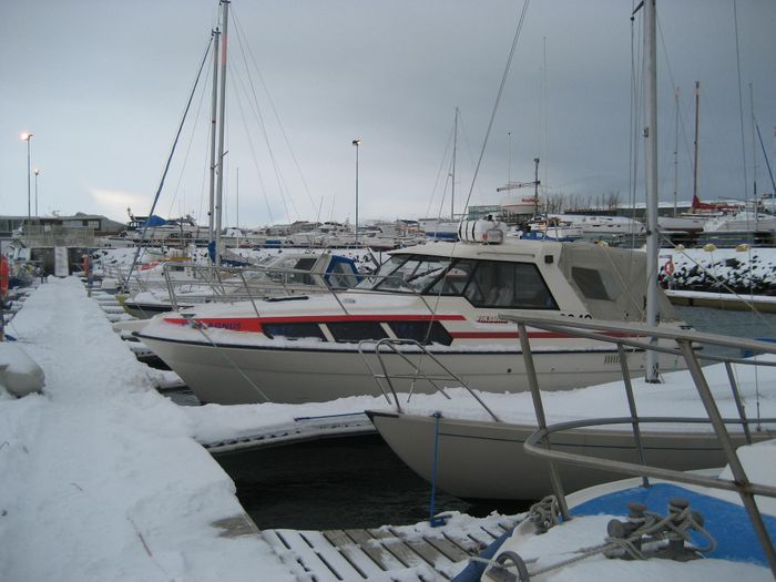 JN MAGNS ex. GOLA