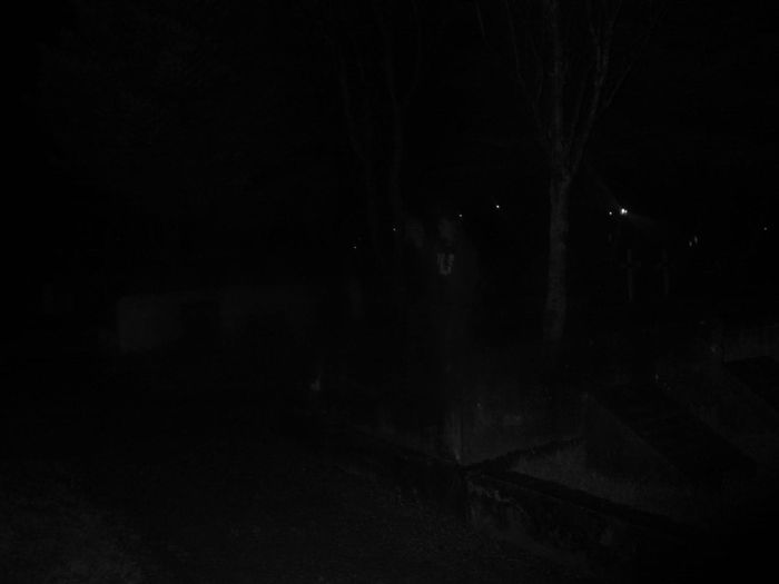 see anything?