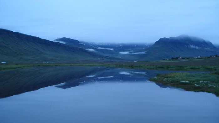 dsc01458.jpg