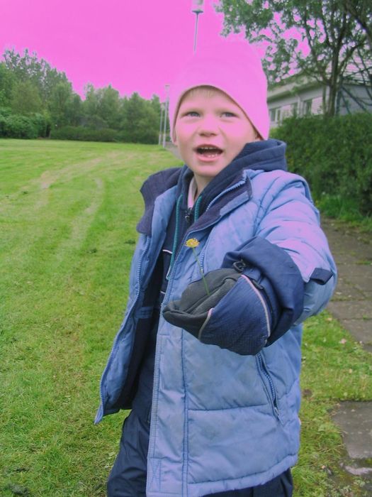 Hvaa blm er n etta?