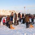 IMG 6641
