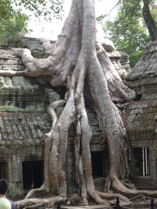 siam reap2 055