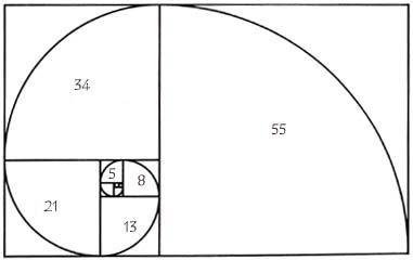 Fibonacci sprall