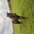 img 0120 1454573