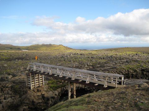 IMG 0837