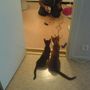 The two cuties