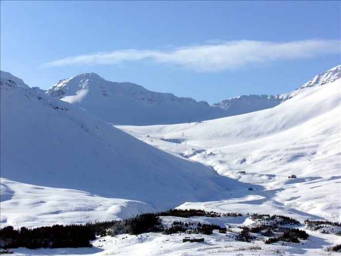 005 skar i ski asvae i leo r lafsson mars 2007.jpg