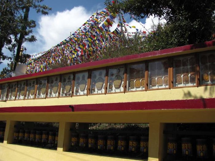 Dharamsala 097