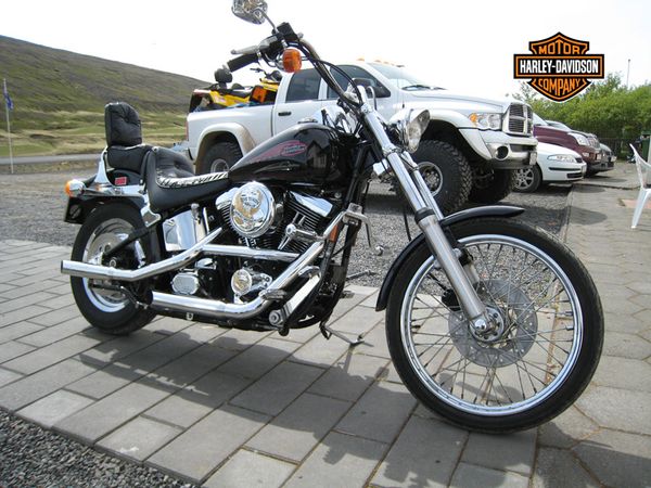 #29 Smri Sigurjnsson - Harley Davidson FX Softail Custom rg. 1999