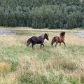 img 0888 1456258