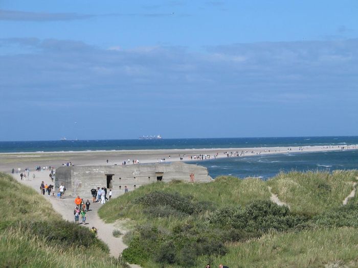 t  Skagen