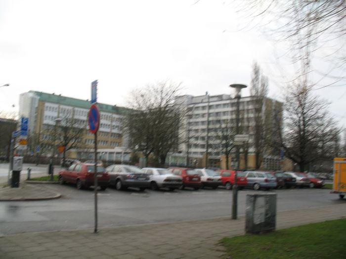 Fyrsti sptalinn