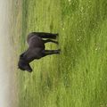 img 0050 1454530