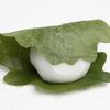Kashiwa-mochi