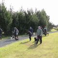 IMG 8805