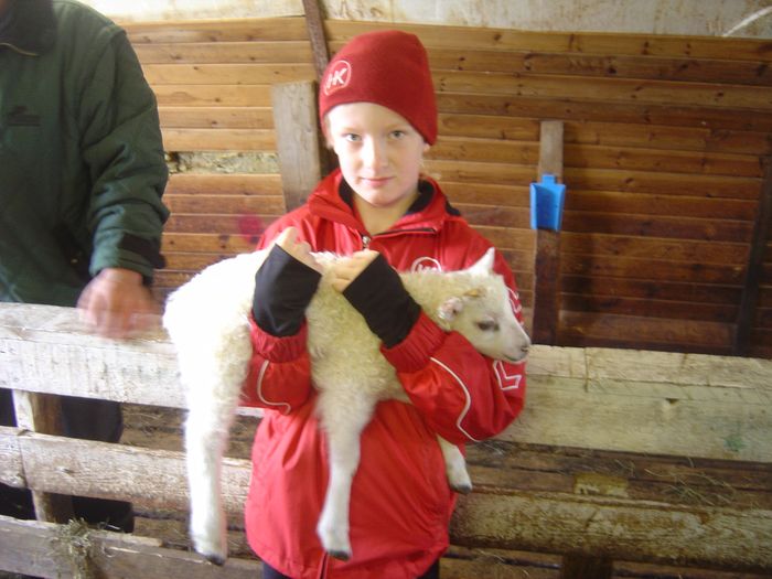 Kristberg me vikugamalt lamb