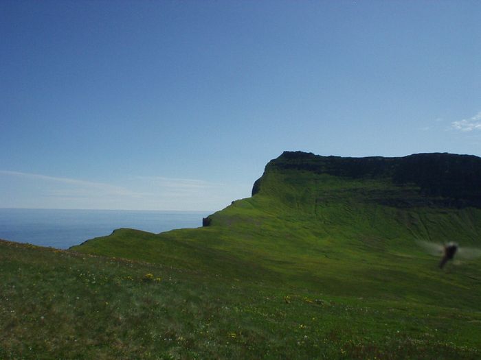 p7170493 451481.jpg
