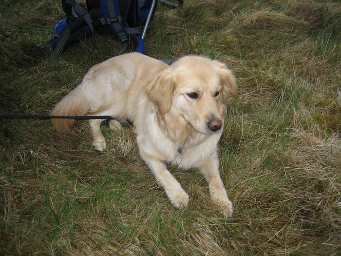 img 1239.jpg