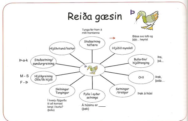 Reia gsin - dmi um ferli hljanms