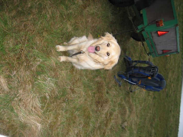 img 1260.jpg