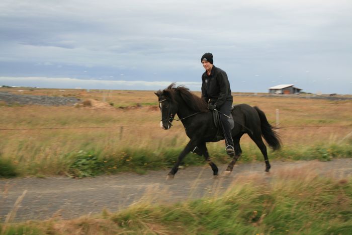 slandsfer   Selfoss