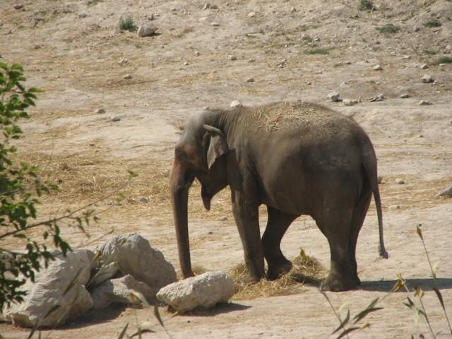 fll  Terra Natura