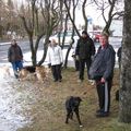 IMG 7193