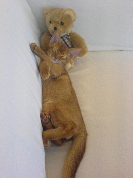 Sleeping with teddy
