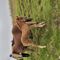 img 0147 1454591